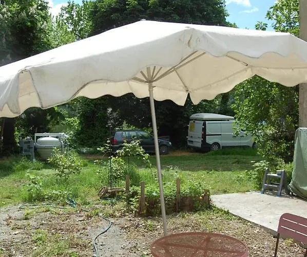 Shayton Natura * エクスレバン