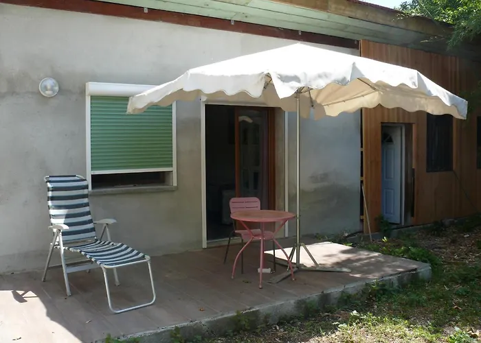 Shayton Natura エクスレバン